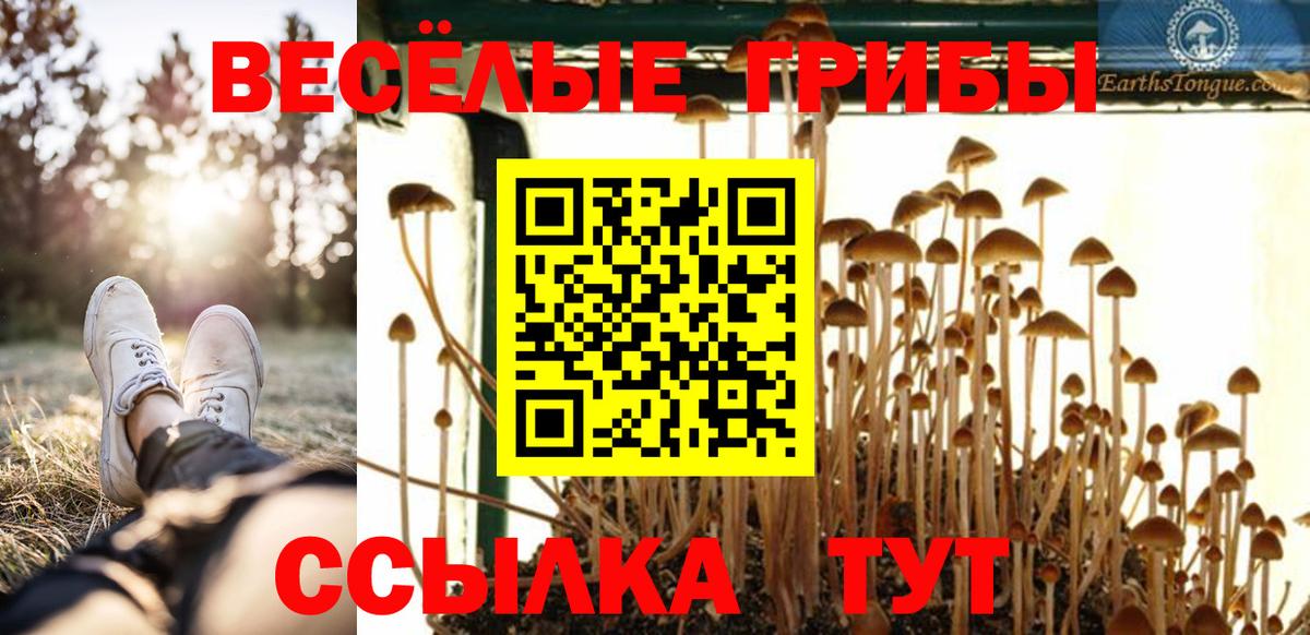 Камышин  Галлюциногенные грибы мицелий  Вход с VPN 